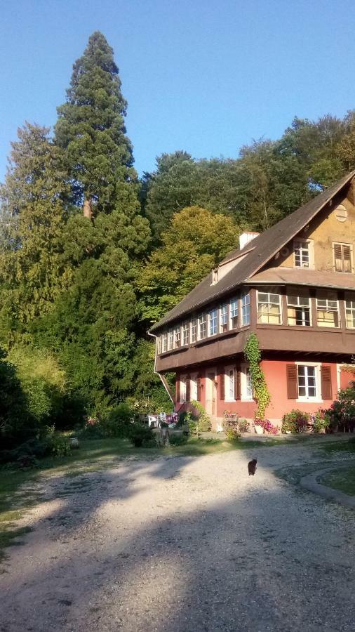 Gite "Cadichon" Мюнстер Экстерьер фото